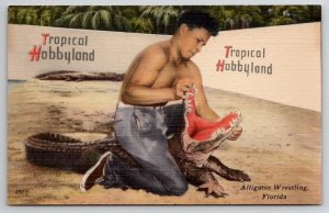 Florida Alligator Wrestling Tropical Hobbyland Postcard W22