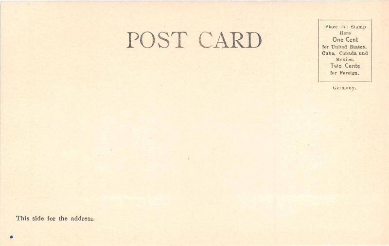 Cadillac Michigan~Cass Street Scene @ Intersection~Houses~Tall Trees~c1905 Pc
