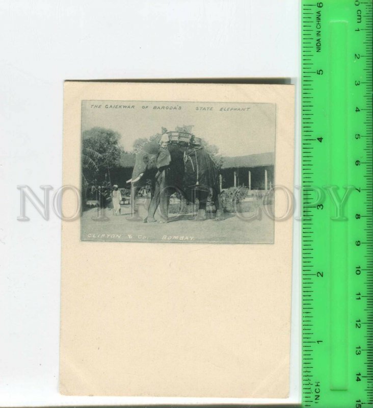 439690 INDIA Bombay Caiekwar of Barodas state elephant Vintage Clifton postcard