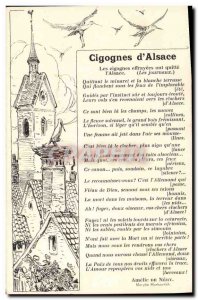 Old Postcard Folklore Alsace Storks