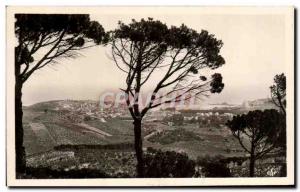 Old Postcard La Cote Vermeille Banyuls Sur Mer Panorama A Travers les Pins De...