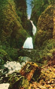 Vintage Postcard Wah-Kee-Nah Falls Waterfalls Columbia River Highway Oregon OR