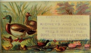 1870's-80's Dann's Kidney & Liver Cure Ducks & Ducklings Quack Medicine P44