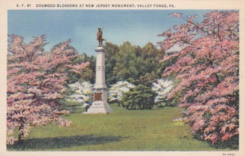 Pennsylvania Valley Forge Dogwood Blossoms At New Jersey Monument Curteich