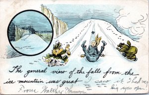 Postcard NY Niagara Falls Comic Humor - sliding down ice mountain - posted 1906