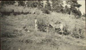 Man & Horses in Field - Phoenix AZ Cancel c1910 Real Photo Postcard