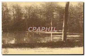 Postcard Old Forest of Saint Germain en Laye La Mare aux Canes Artistic view