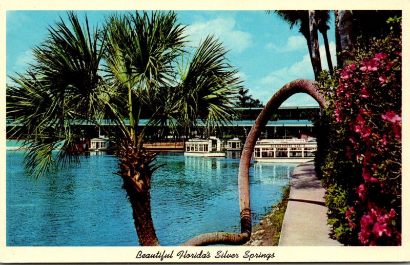 Florida Silver Springs Horseshoe Palm & Glass Bottom Boats