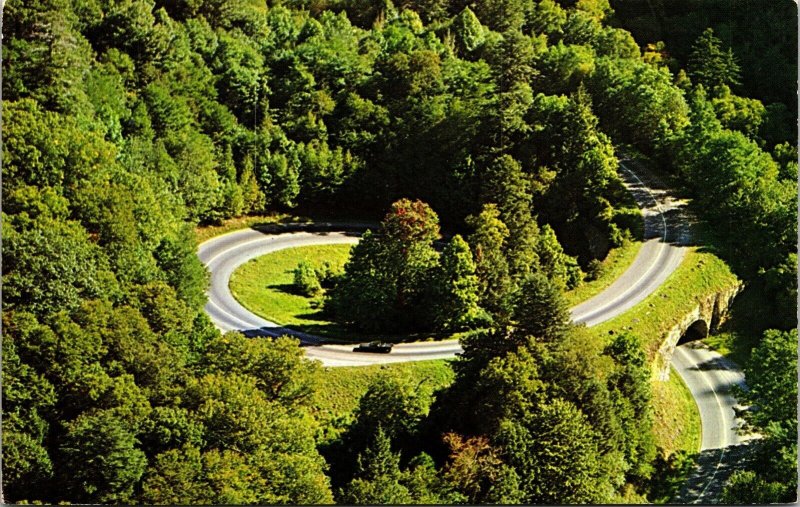 Loop-Over Great Smoky Mountains National Park Chimney Tops Tennessee Postcard 