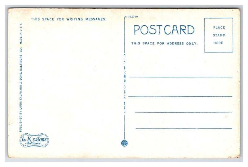 Slide Board Row's Park Hagerstown Maryland MD UNP WB Postcard O20