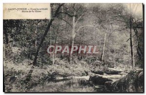 Old Postcard St Junien In Solitude Banks of the Glane