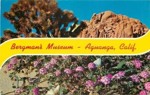 Aguanga California~Banner Greetings Bergmans Museum~1950s PC 