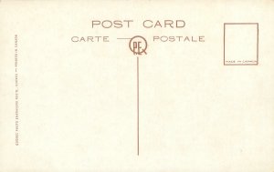Quebec Canada Ramparts et Vieux Canons WB Postcard Unused