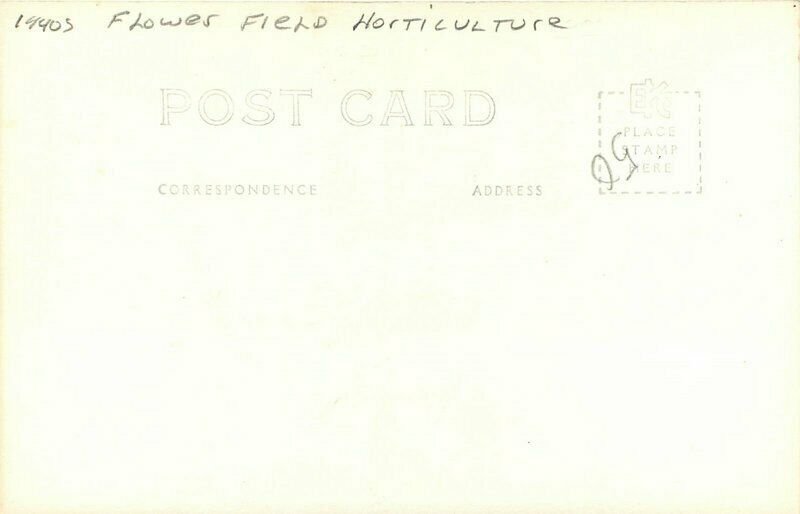 Harbor Michigan Hoffeldt's Flower Field Horticulture RPPC Photo Postcard 21-5983