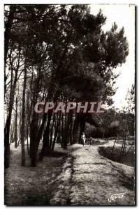 Bretignolles sur Mer - La Foret des Dunes - Old Postcard