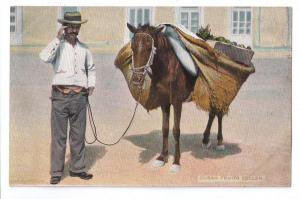 Cuba Fruit Seller ca 1910