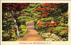 Scenic View, Greetings from Stoneville NC Vintage Postcard L68