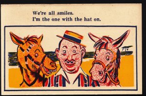 Comic / Humour Postcard - Seaside / Donkeys / Hat / We're All Smiles DC22