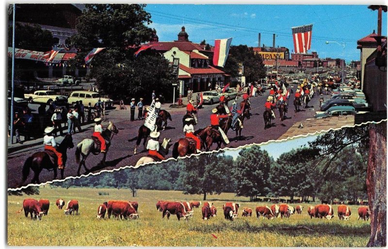 Cowtown Parade FORT WORTH, TX Cowboys Rodeo Street Scene 1950s Vintage Postcard