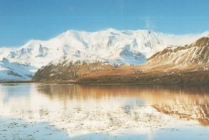 Mount Paget South Georgia USA Postcard