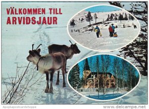 Sweden Valkommen Till Arvidsjaur Multi View With Reindeer