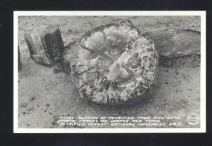 PETRIFIED FOREST NATIONAL MONUMENT ROUTE 66 ARIZONA REAL PHOTO POSTCARD