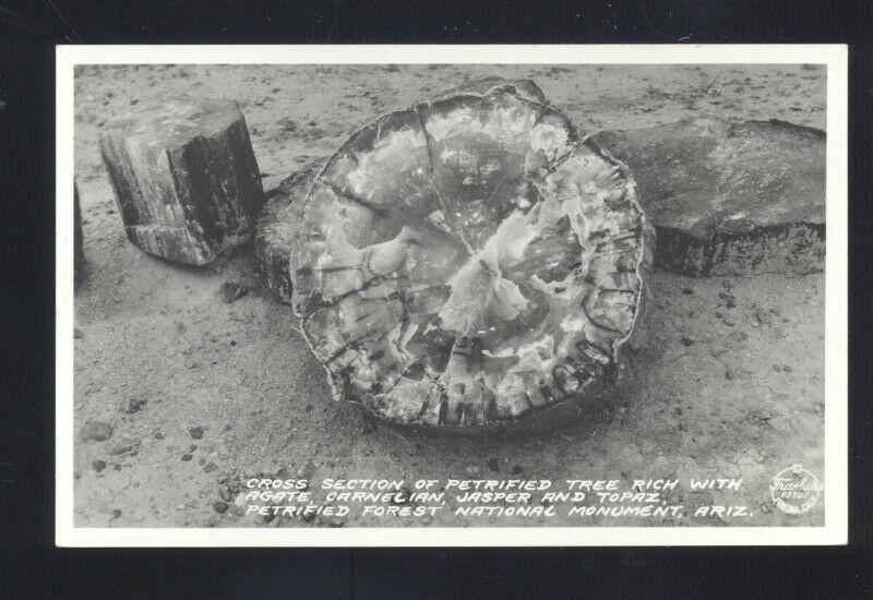 PETRIFIED FOREST NATIONAL MONUMENT ROUTE 66 ARIZONA REAL PHOTO POSTCARD