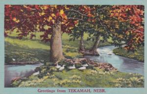 Nebraska Greetings From Tekamah 1957