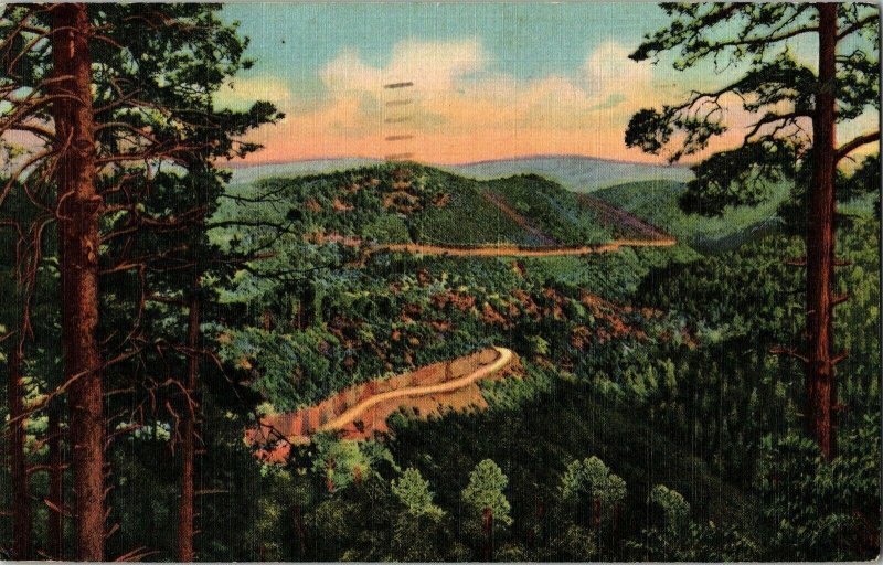 Black Range Scenic Highway Hot Springs Silver City New Mexico c1955 Postcard PM 