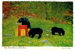 Black Bear, Peanut and Jelly Again