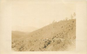Califonria RPPC Sacramento Hills C-1910 Climbing 23-6395