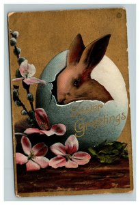 Vintage 1910's Easter Postcard Gold Face Cute Bunny Hatches from Giant Egg