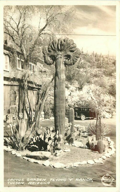 Cactus Garden Flying V Ranch Tucson Arizona 1930s Frasher Photo Postcard 9792