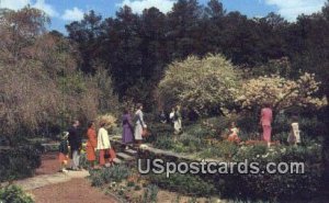Duke Gardens - Durham, North Carolina NC Postcard