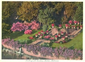 Vintage Postcard 1Bellingrath Gardens Colorful Landscape Mobile Alabama AL