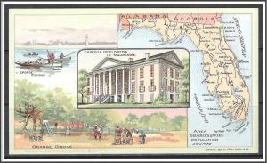 Florida Youth's Companion Map c1891