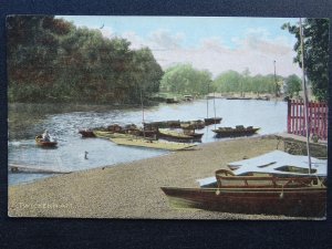 London TWICKENHAM showing Boating & Punting Station c1906 Postcard by Davidson