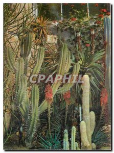 Postcard Modern Exotic Garden Sanary Bandol castable Mexican