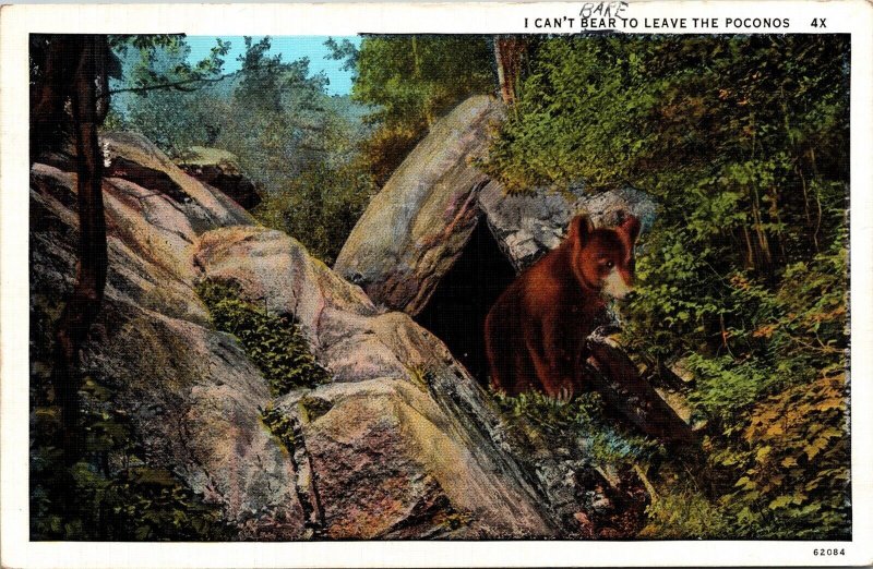 Cant Bear Leave Poconos East Stroudsburg PA Cancel Postcard WOB Note CT American 