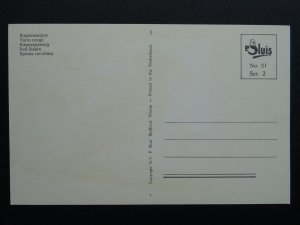 Bird Theme RED SISKIN c1950s Postcard by P. Sluis Series 2 No.21