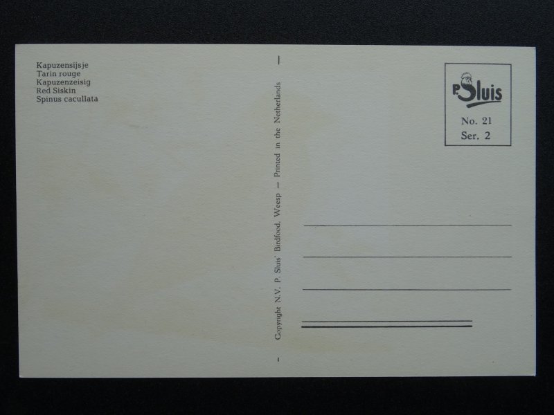 Bird Theme RED SISKIN c1950s Postcard by P. Sluis Series 2 No.21