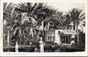 Egypt Suez Fontaine de Moise Vintage Postcard C091