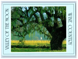 Vintage Valley Of THe Moon Wine Country Sonoma County, California. Postcard 7GE