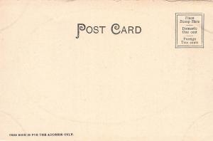 North Hannover Street, Pottstown, Pennsylvania, Early Postcard, Unused