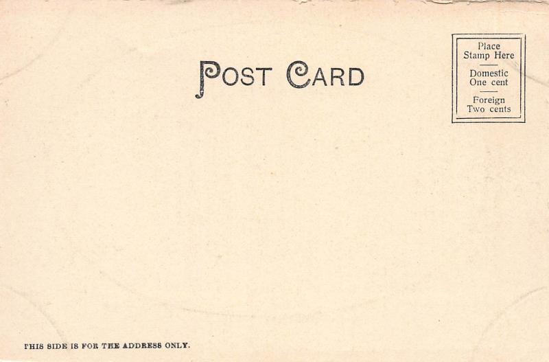 North Hannover Street, Pottstown, Pennsylvania, Early Postcard, Unused