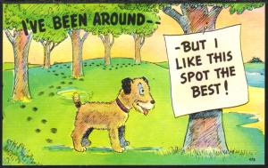 I've Been Around,Dog,Tree,Comic Postcard