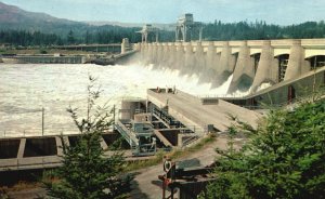 Vintage Postcard Bonneville Dam Spillway With Fish Ladders Oregon And Washington