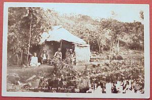 1940's Native Hawaiians Grass Hut & Taro Patch RPPC  