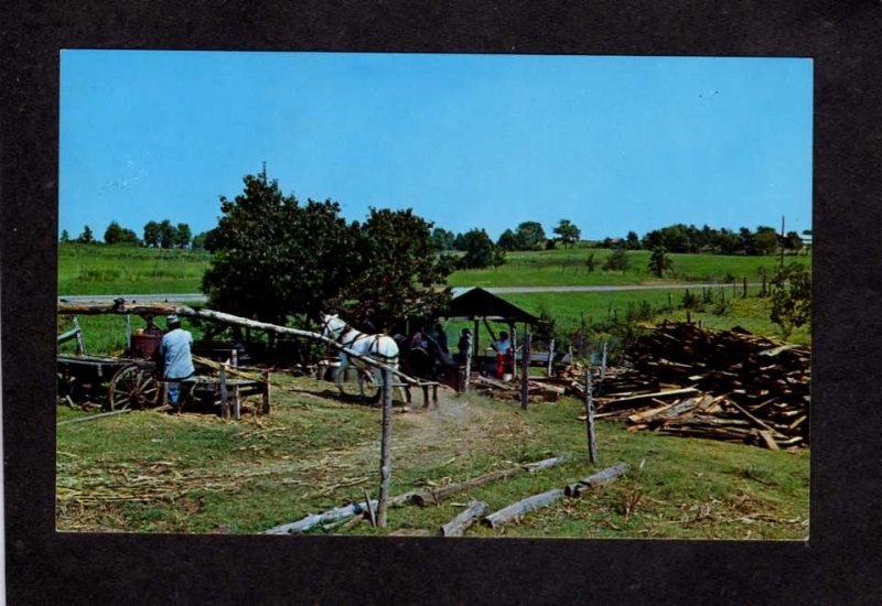 MO Old Sorghum Making Mill Mules Ozarks Missouri Postcard