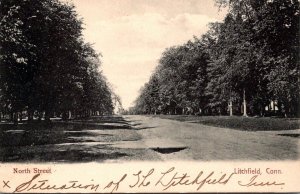 Connecticut Litchfield North Street 1908